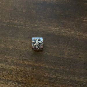 Poinsettia Pandora Charm